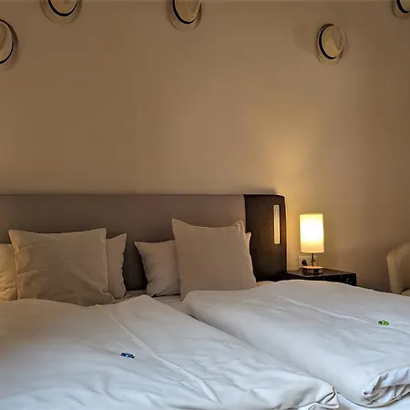 Hotel Altstadthotel Goldene Kugel 3*