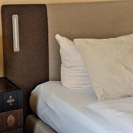 Altstadthotel Goldene Kugel 3*