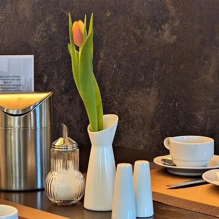 Altstadthotel Goldene Kugel 3*