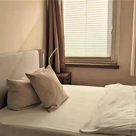 Altstadthotel Goldene Kugel Otel 3*