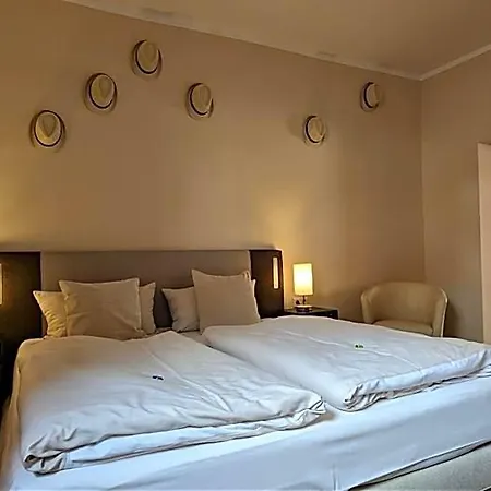 Altstadthotel Goldene Kugel Hotel 3*