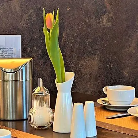 Hotel Altstadthotel Goldene Kugel Waren (Müritz)